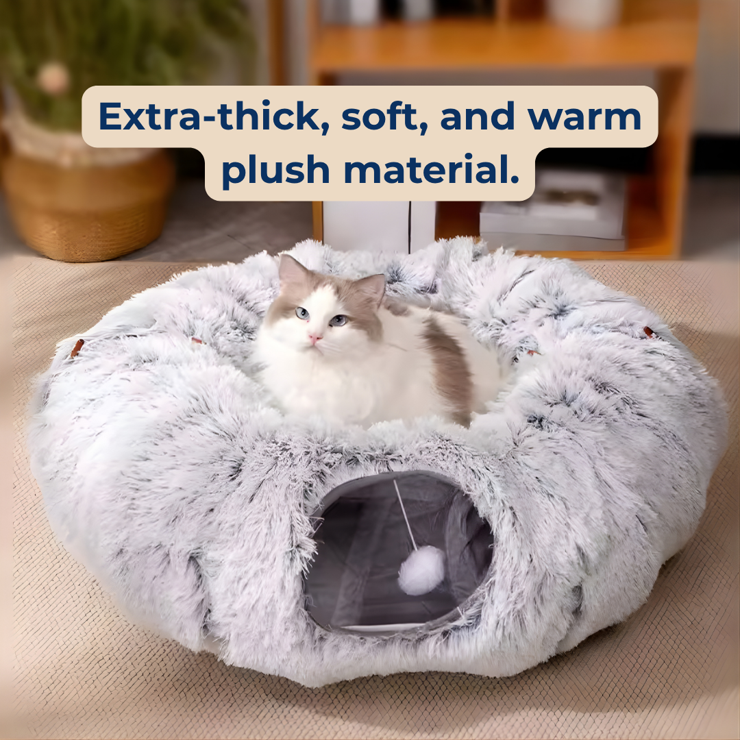 3-in-1 Cat Cave