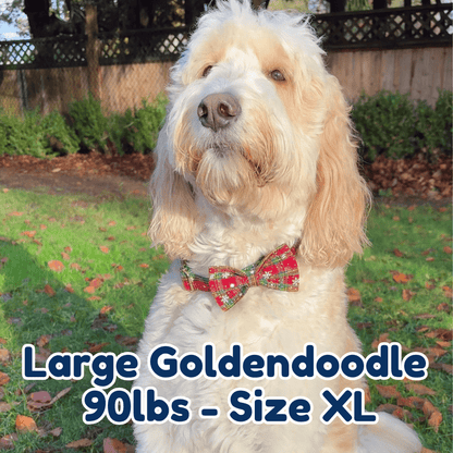 Holiday Vibe Dog Collar - Merrybell