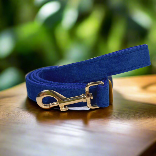 Indigo Velvet Leash