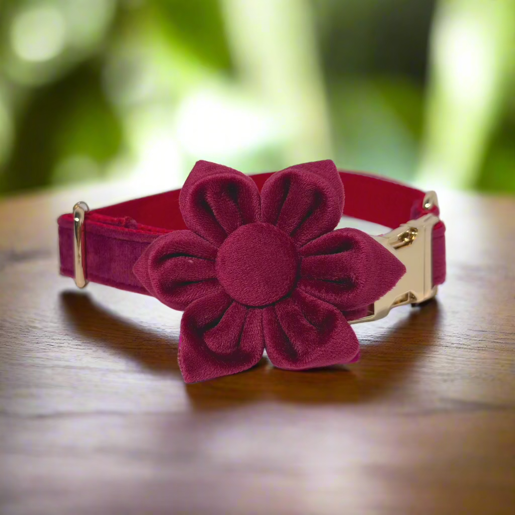 Red Wine Blossom Collar - Scarletvine