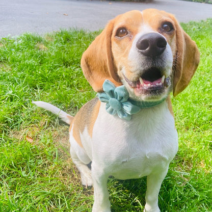 Green Blossom Collar - Emerald