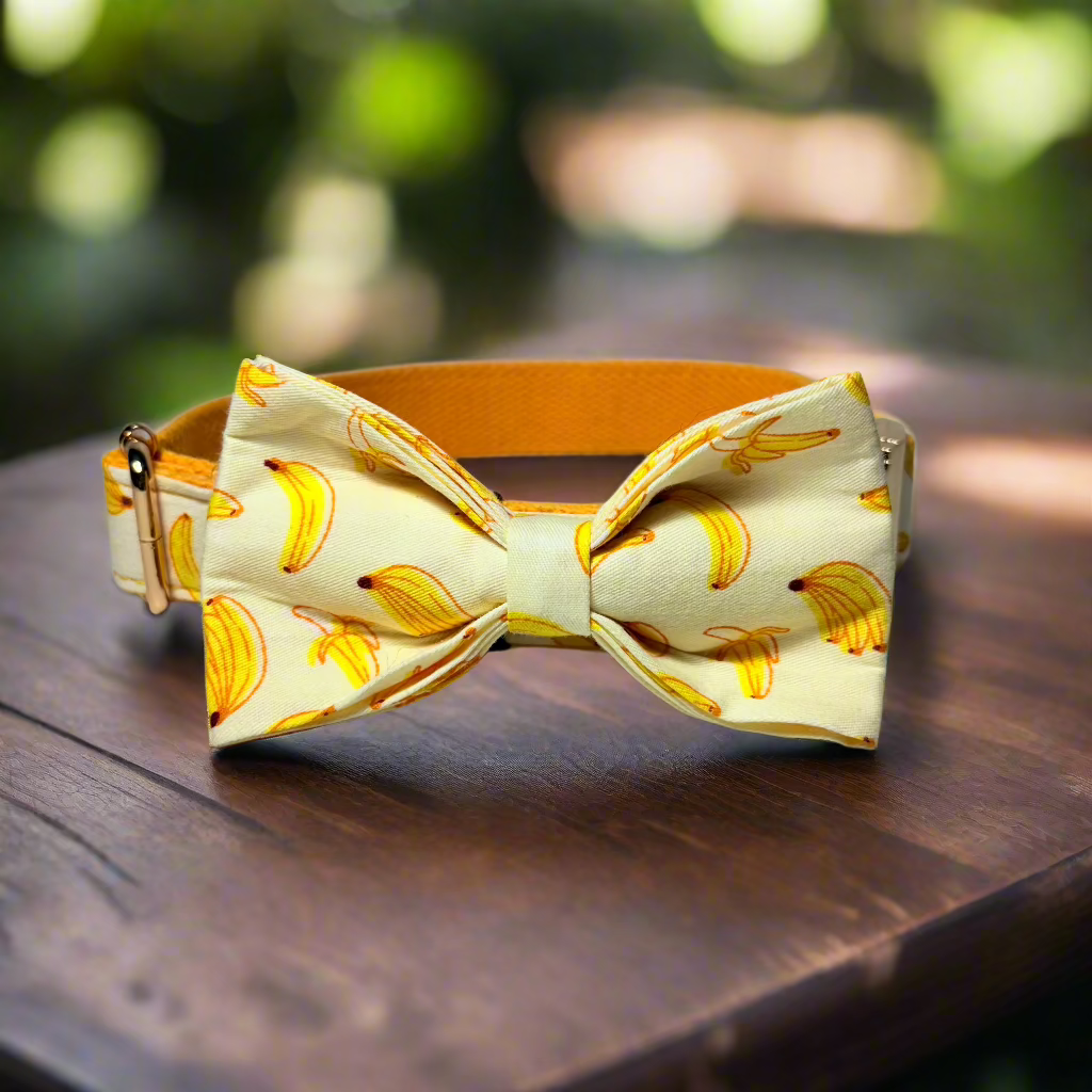 Banana Mood Dog Collar with bow tie - bow tie view