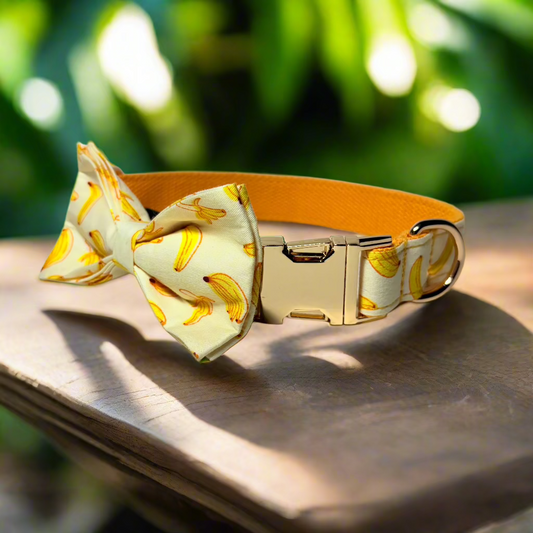 Banana Mood Dog Collar with bow tie - front view