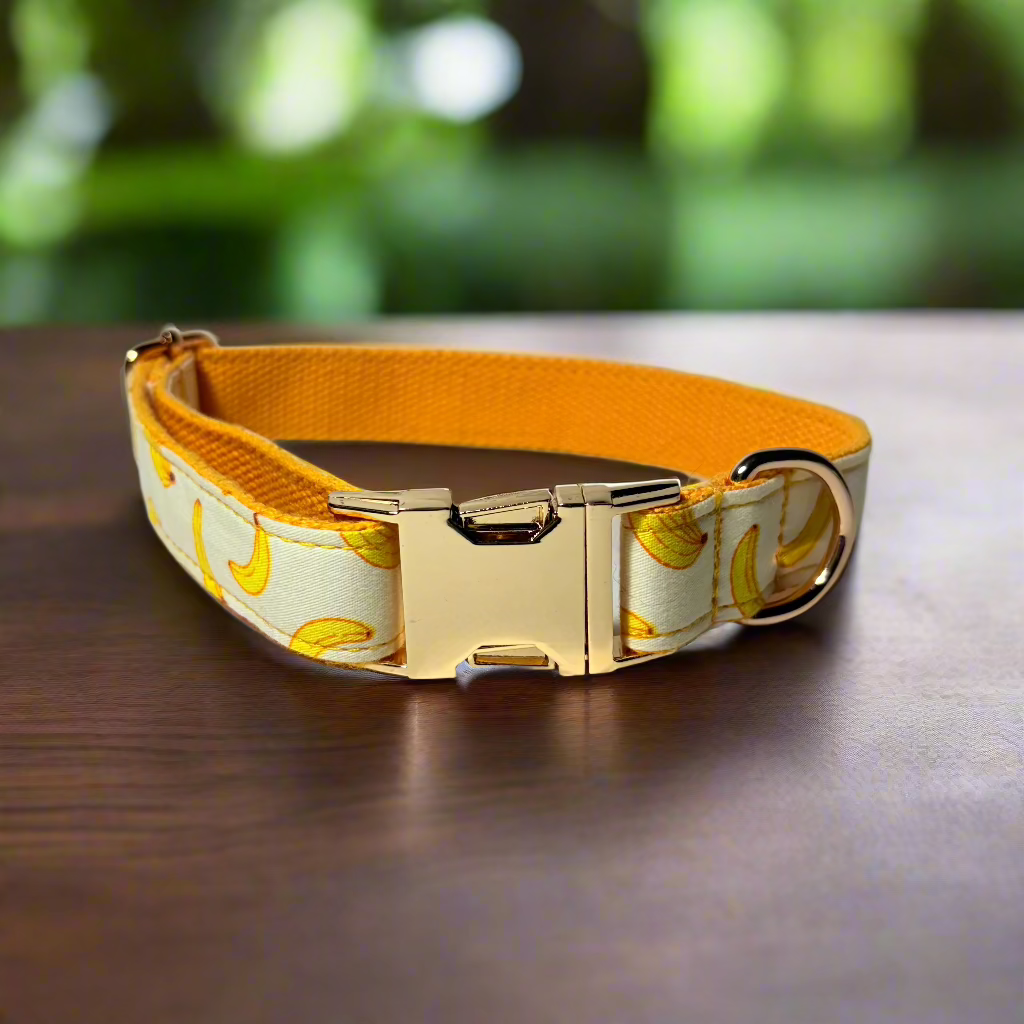 Banana Mood Dog Collar without bow tie - front view