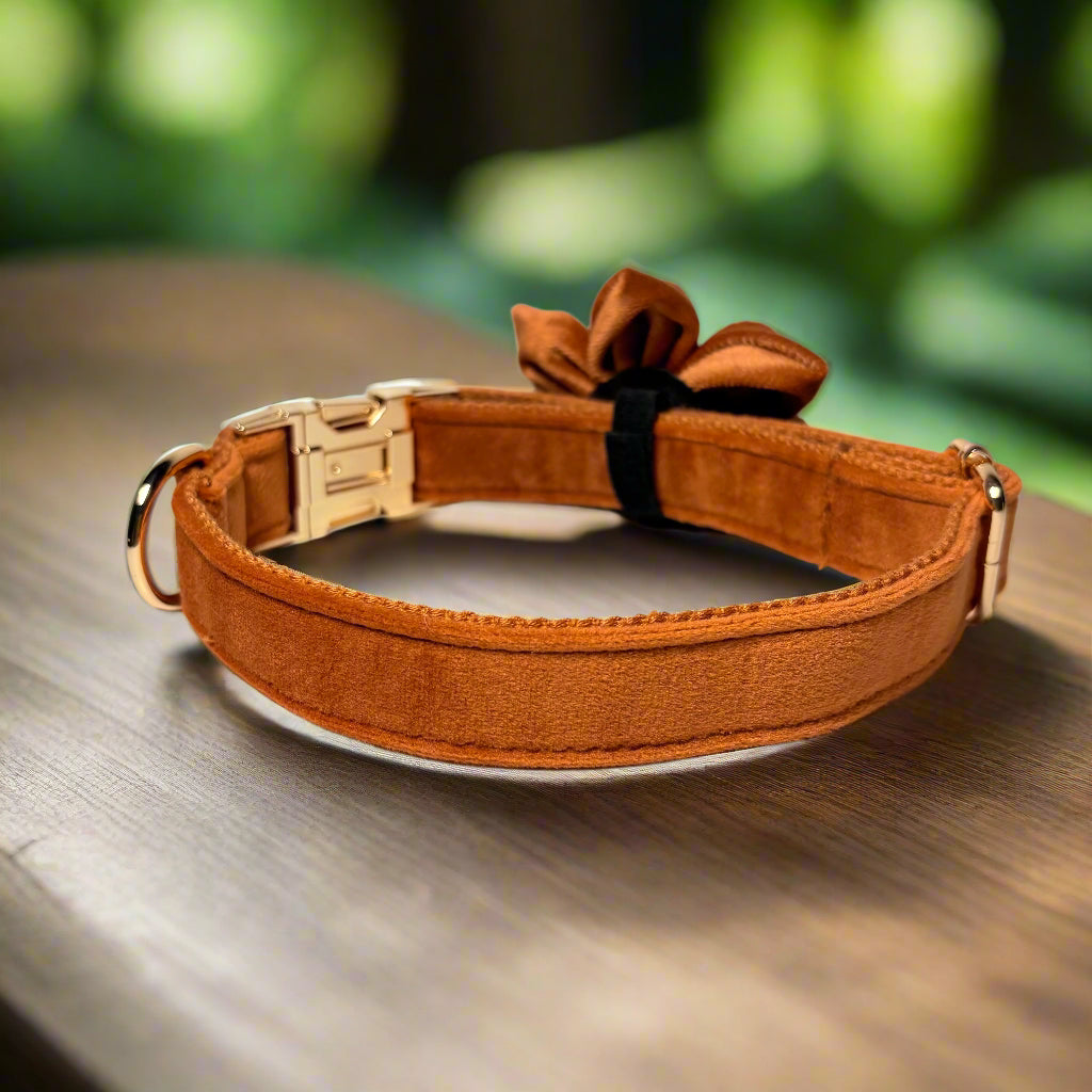 Bronze Blossom Dog ID Collar with flower back view
