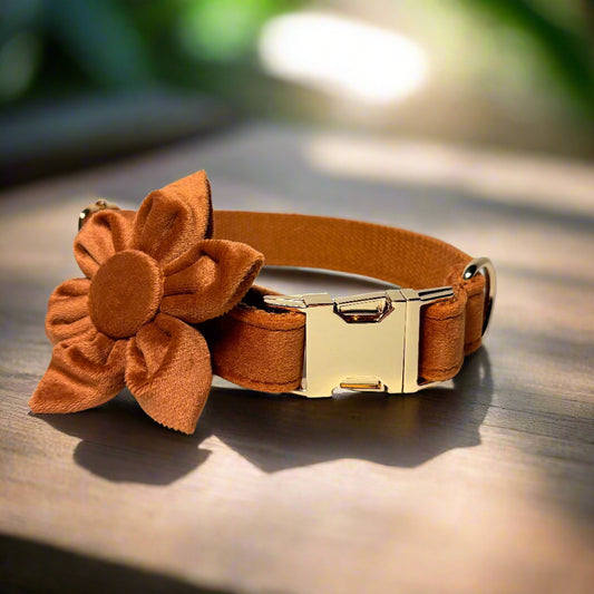 Bronze Blossom Dog ID Collar with flower front view