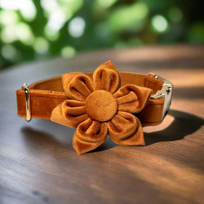 Bronze Blossom Dog ID Collar with flower side view