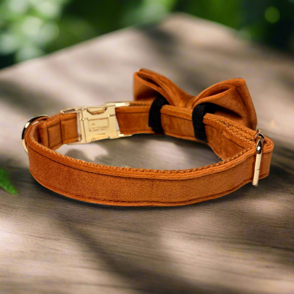 Bronze Velvet Dog Collar with bow tie back view