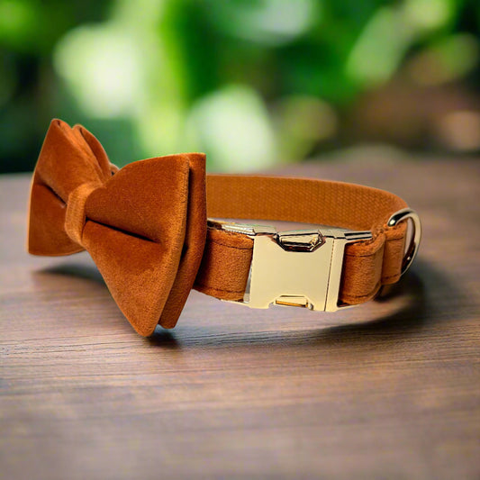 Bronze Velvet Dog Collar with bow tie front view