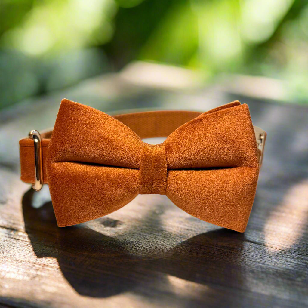 Bronze Velvet Dog Collar with bow tie side view