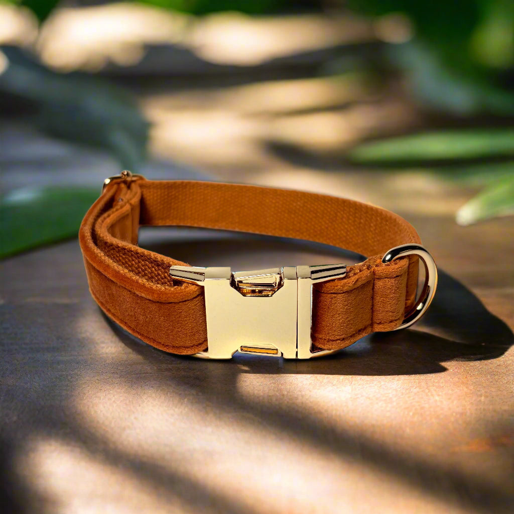 Bronze Velvet Dog Collar without bow tie front view