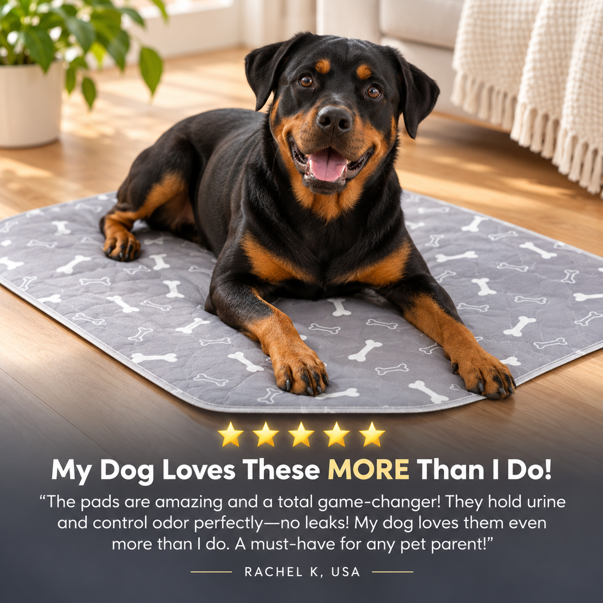 EverFresh Puppy Pad - The Last Pee Pad You'll Get