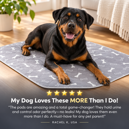 EverFresh Puppy Pad - The Last Pee Pad You'll Get