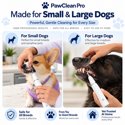 PawClean Pro — Ultrasonic Plaque & Tartar Remover for Dogs & Cats