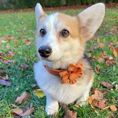 Bronze Blossom Collar - Aurawisp