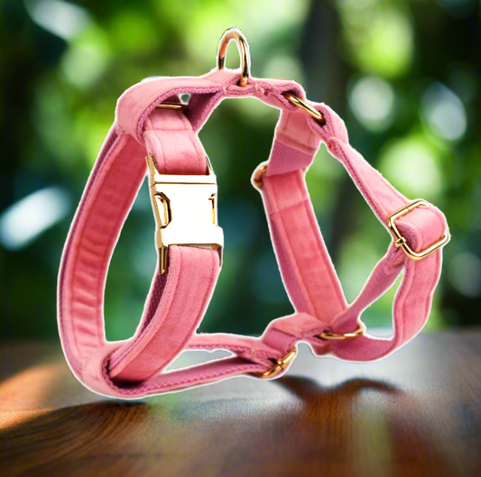 Pink Velvet Dog Harness