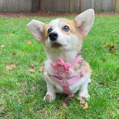 Pink Velvet Dog Harness