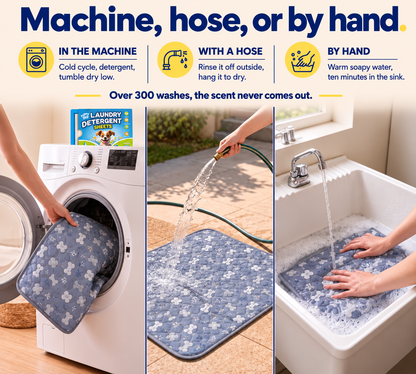 EverFresh Puppy Pad - The Last Pee Pad You'll Get