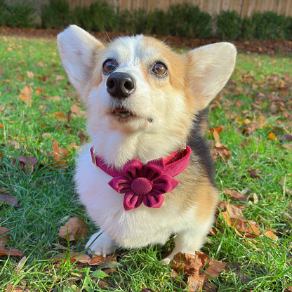 Red Wine Blossom Collar - Scarletvine