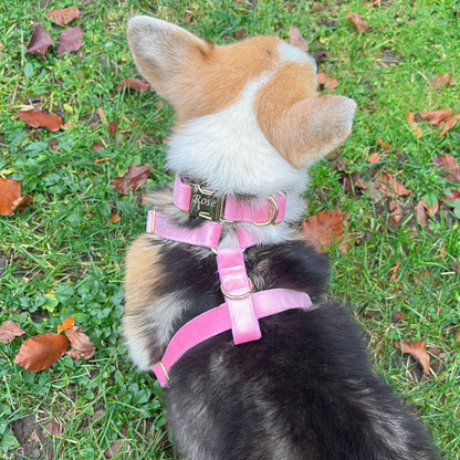 Pink Velvet Dog Harness