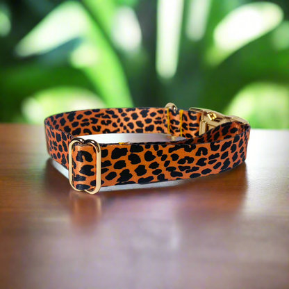 Leopard Vibe Collar - Jasper