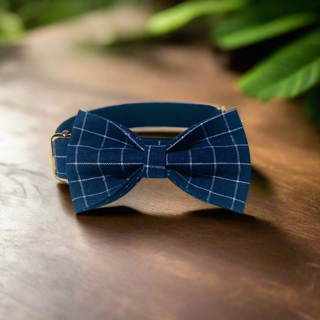 Midnight Dream Collar - Sapphire