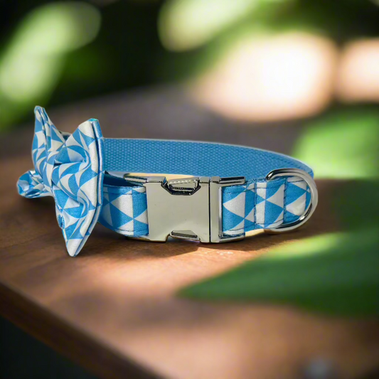 Blue Playboy Collar - Sterling