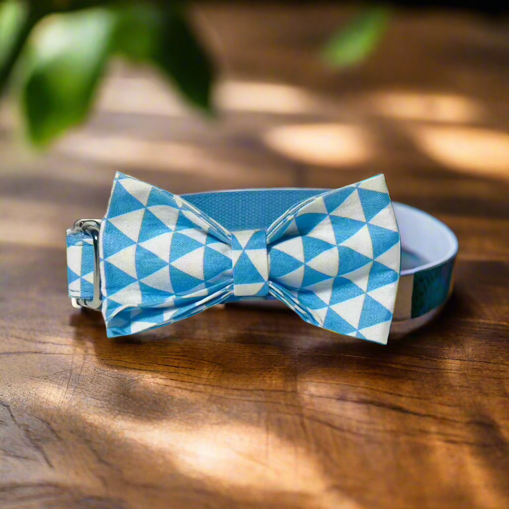 Blue Playboy Collar - Sterling