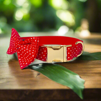 Polka Paws Collar - Dotty