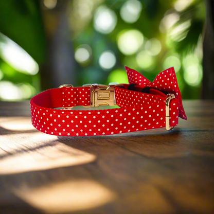 Polka Paws Collar - Dotty