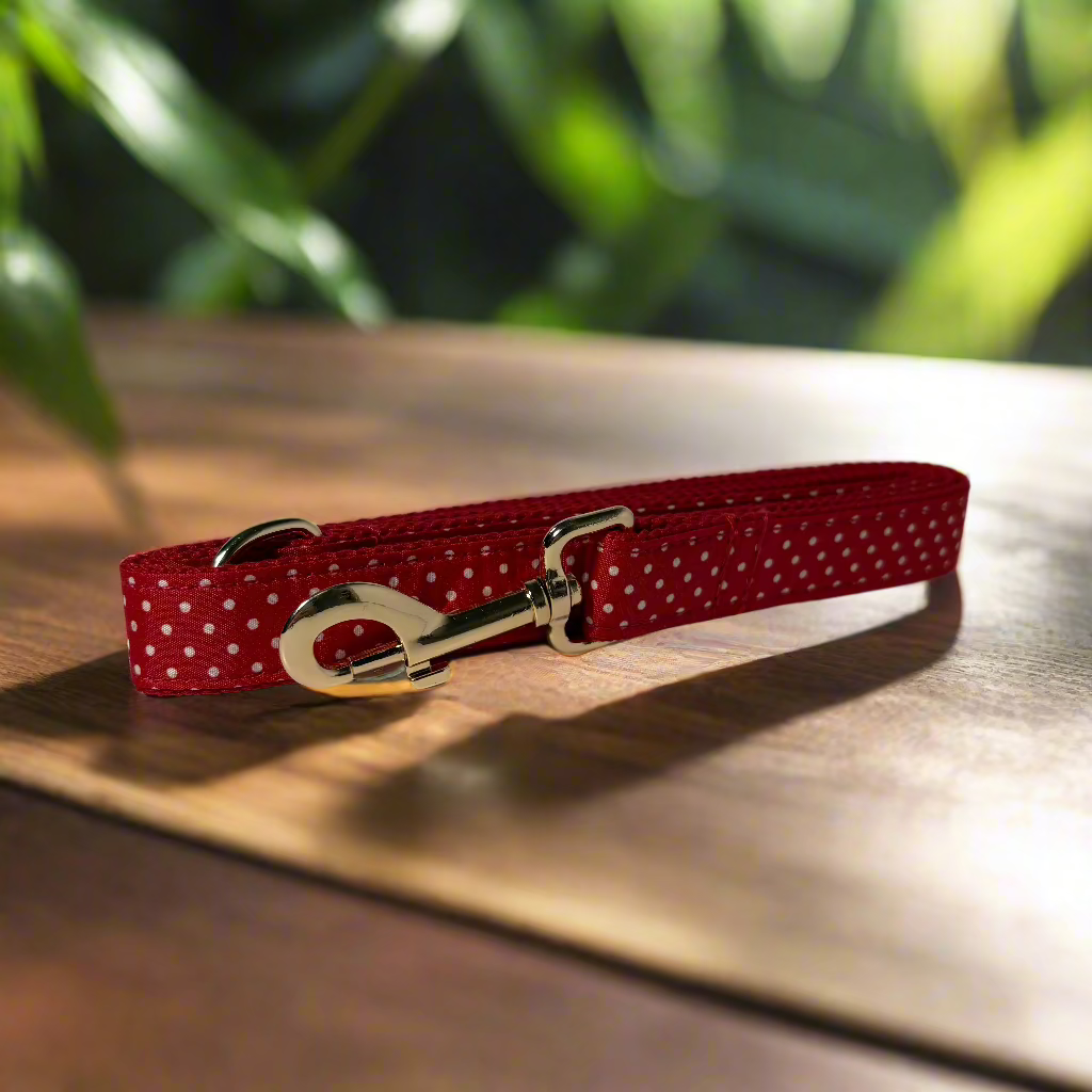Polka Paws Leash