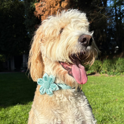 Green Blossom Collar - Emerald