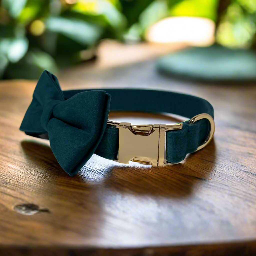 Pine Green Velvet Collar - Fern