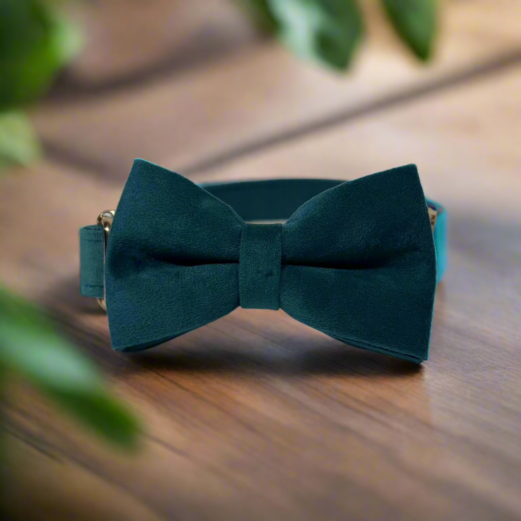 Pine Green Velvet Collar - Fern