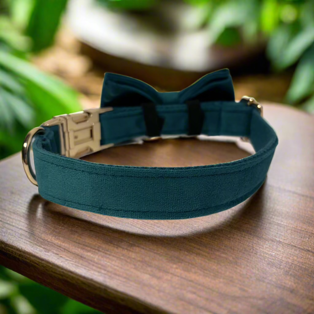 Pine Green Velvet Collar - Fern