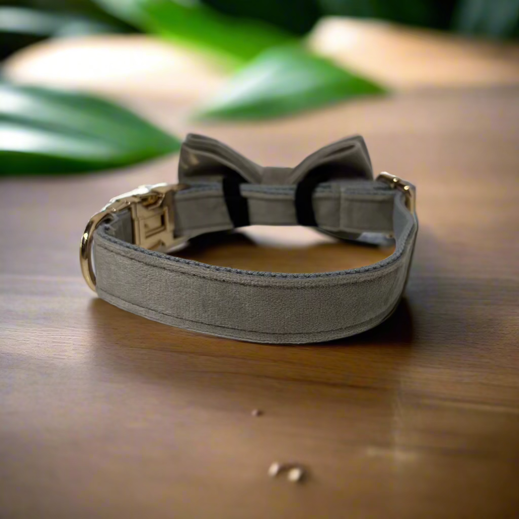 Grey Velvet Collar - Storm