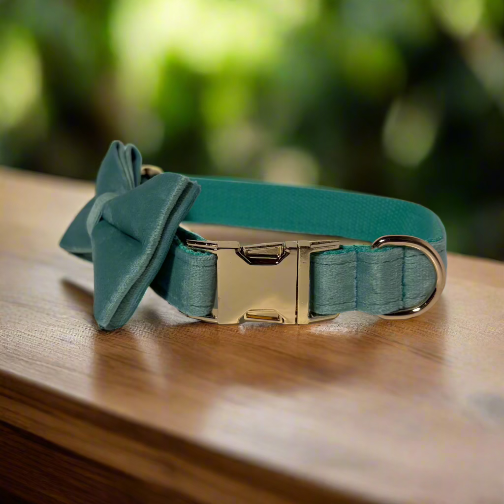 Matcha Velvet Collar - Ivy