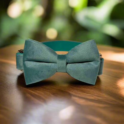 Matcha Velvet Collar - Ivy