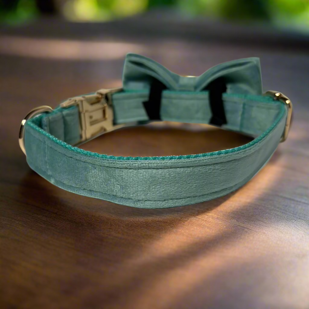 Matcha Velvet Collar - Ivy