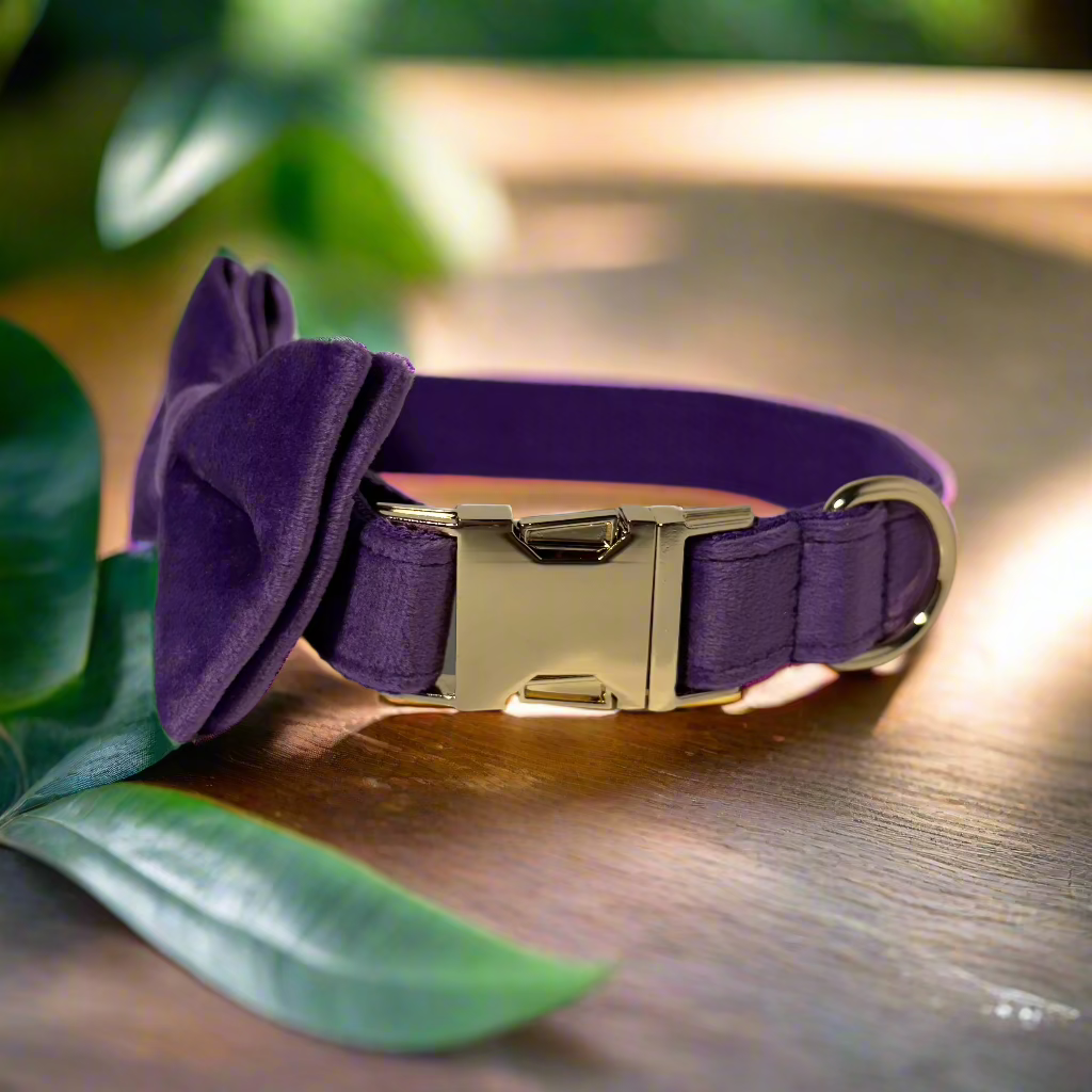 Purple Velvet Collar - Lilac