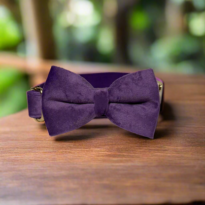 Purple Velvet Collar - Lilac