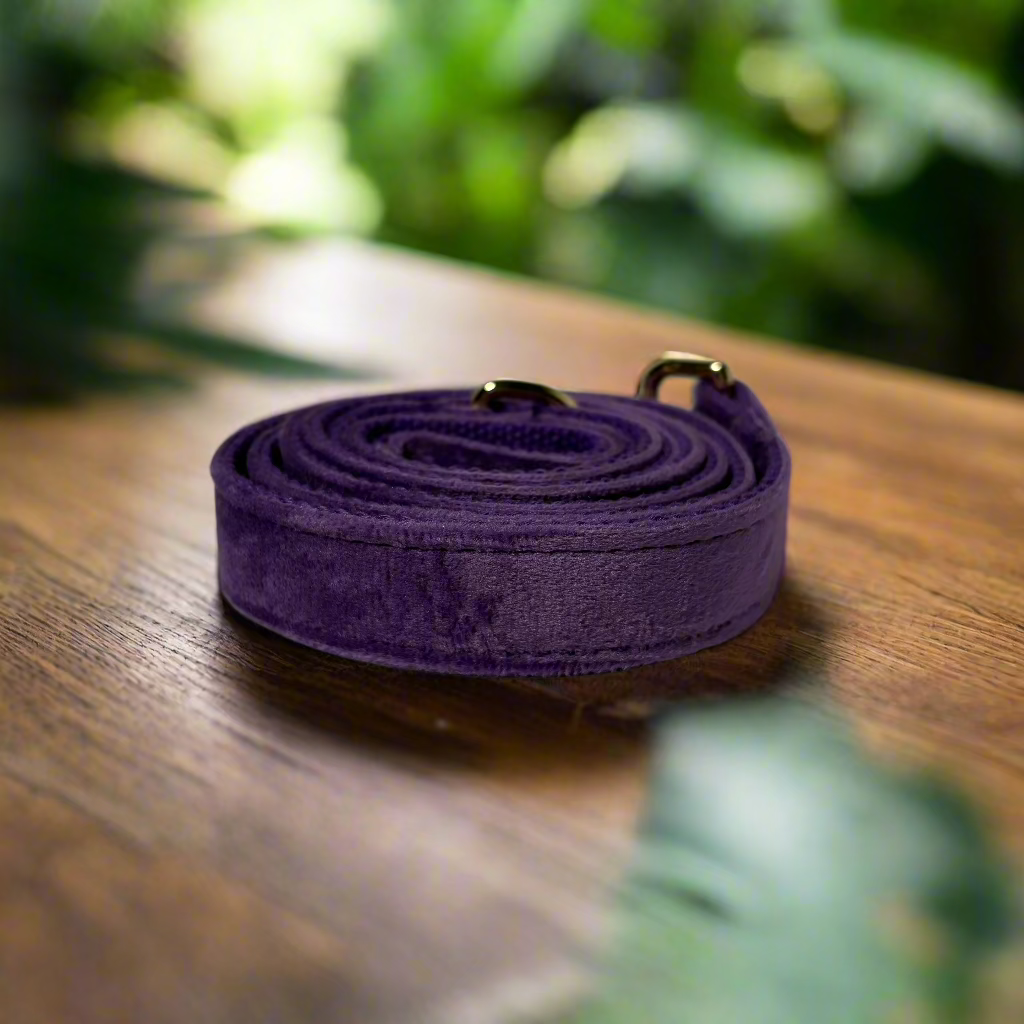 Purple Velvet Leash