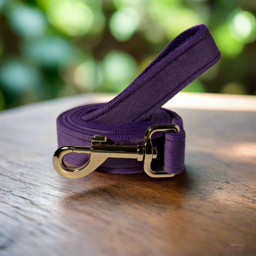 Purple Velvet Leash