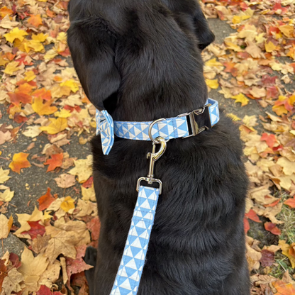 Blue Playboy Collar - Sterling