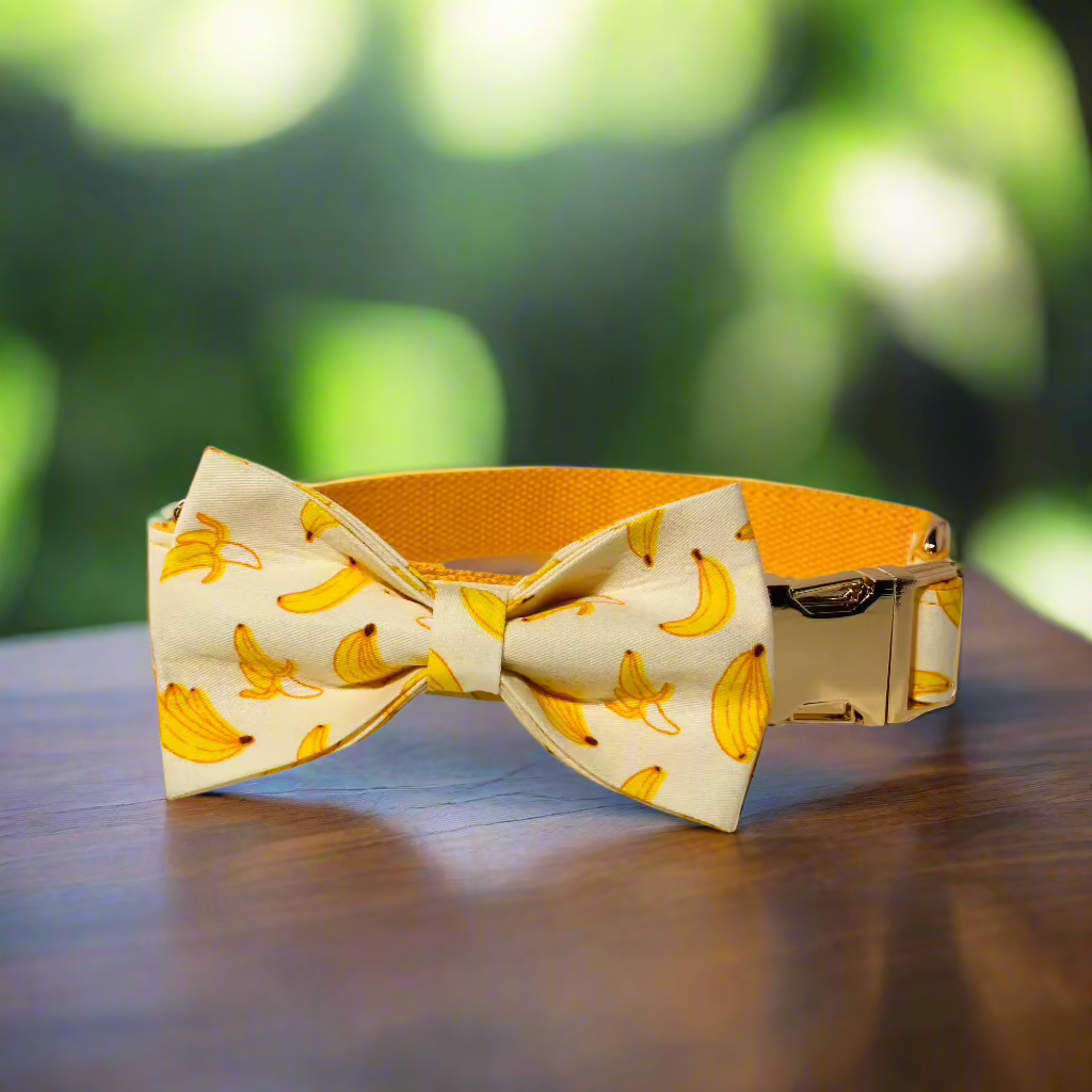 Banana mood bow tie dog collar