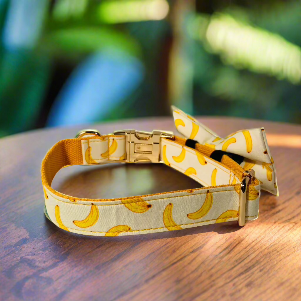 Banana mood bow tie dog collar