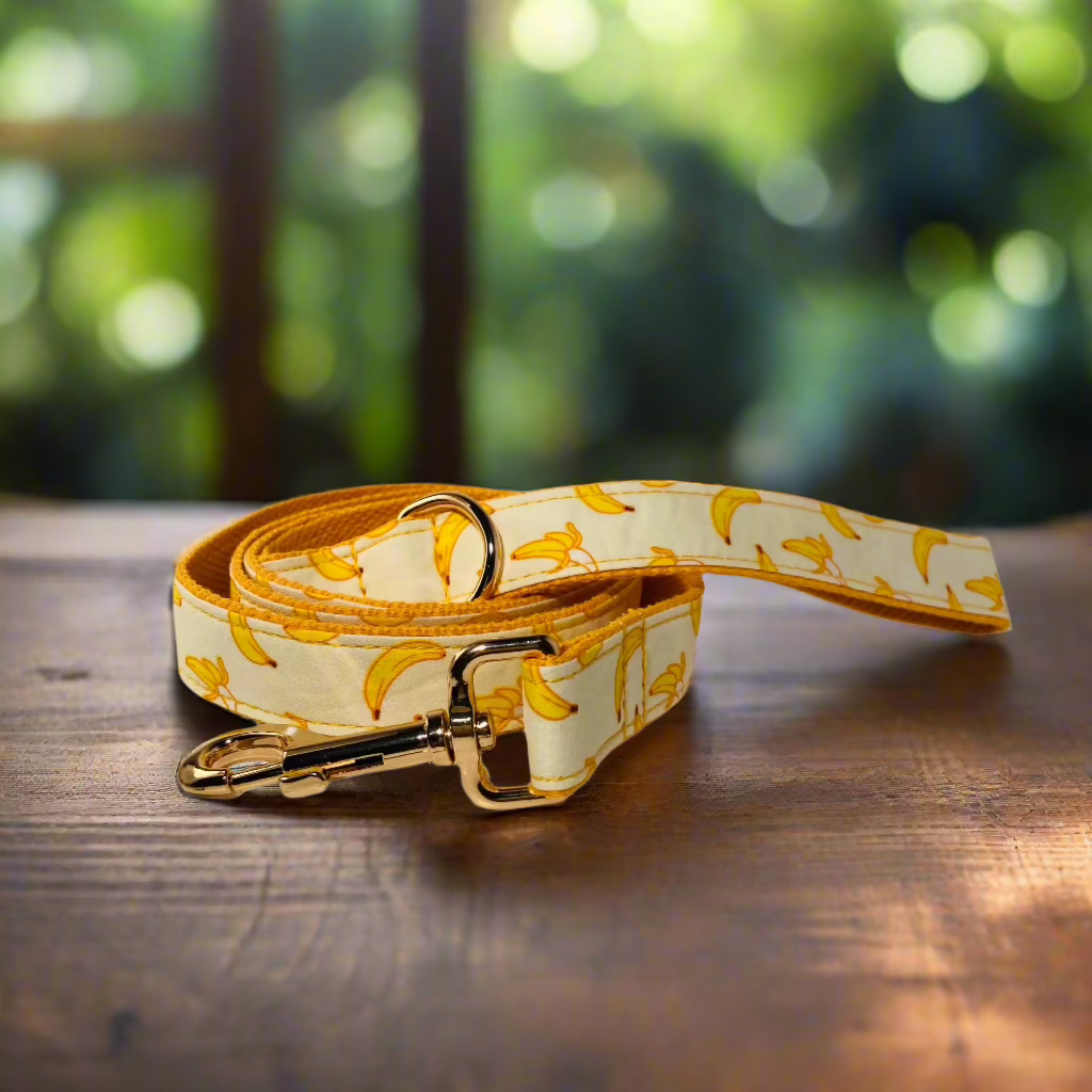 Banana Mood Leash