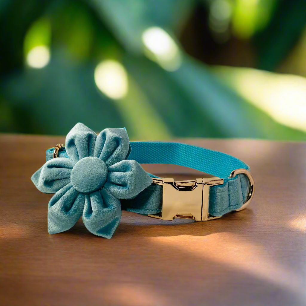 green flower dog collar