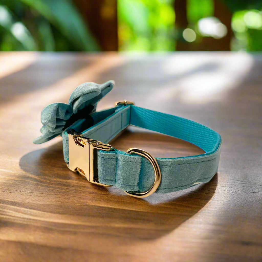 green flower dog collar