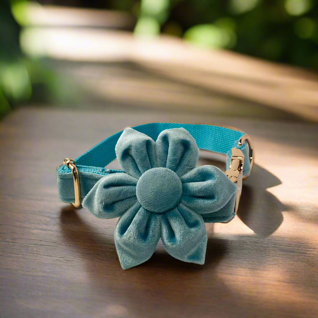 green flower dog collar